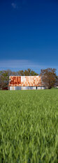 The Farmer's Shed