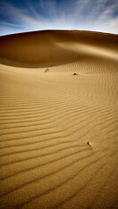 Desert Sands
