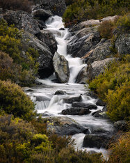 Falls Creek Mountain Stream