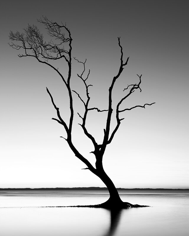 B&W / Toned