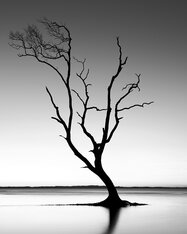 Reach to the Sky